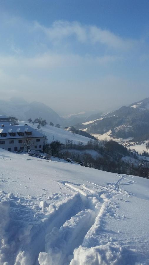 Losenstein Kraeuterhof Miesrigl 빌라 외부 사진