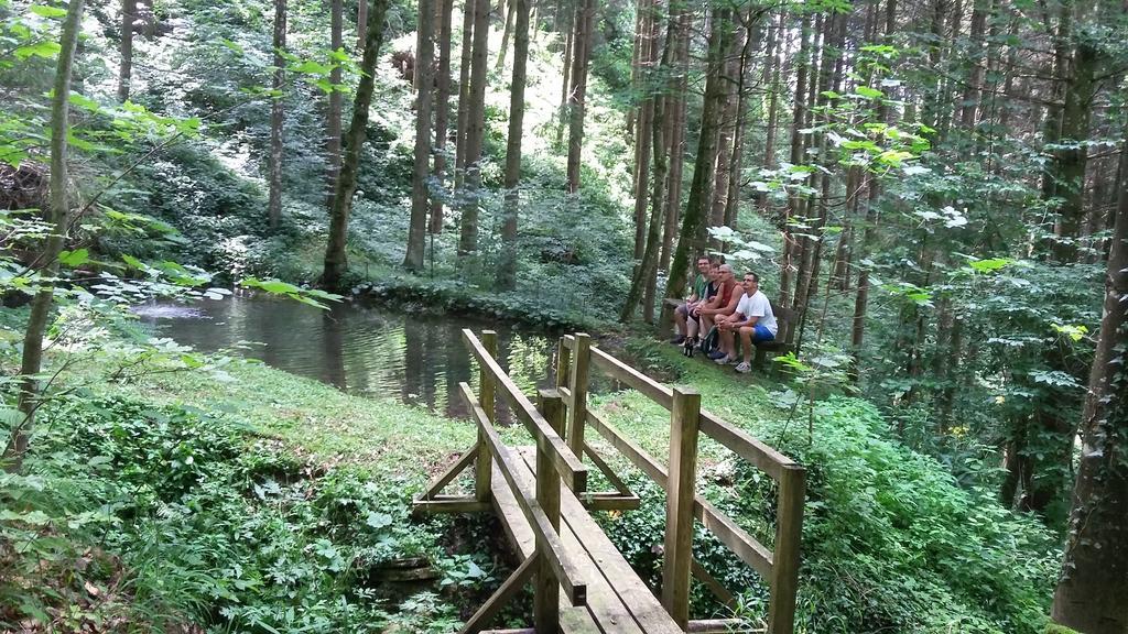 Losenstein Kraeuterhof Miesrigl 빌라 외부 사진